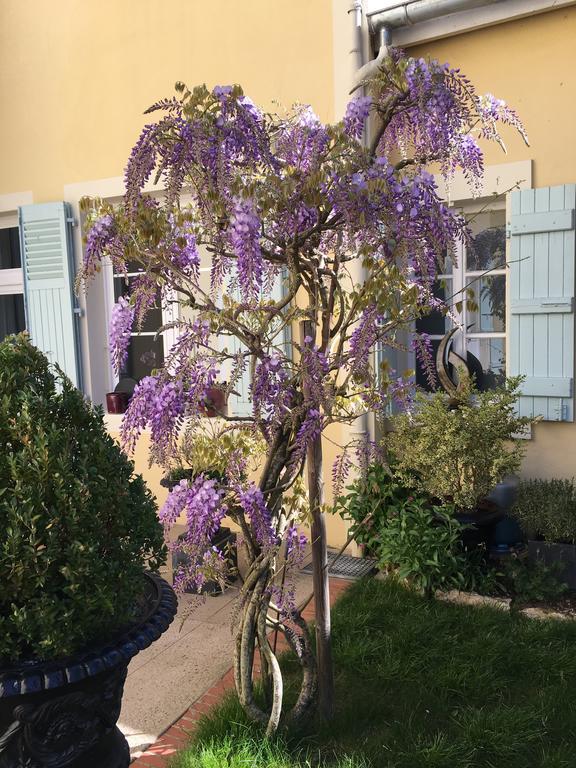 Chambres D'Hote Le Clos De L'Argolay Charolles Exterior foto